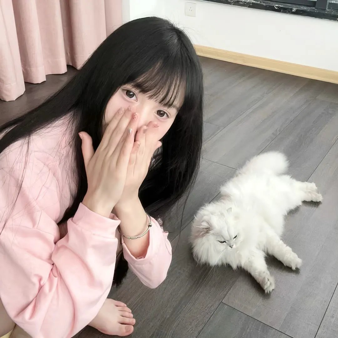 魔法满屋：好莱坞露天剧场演唱会